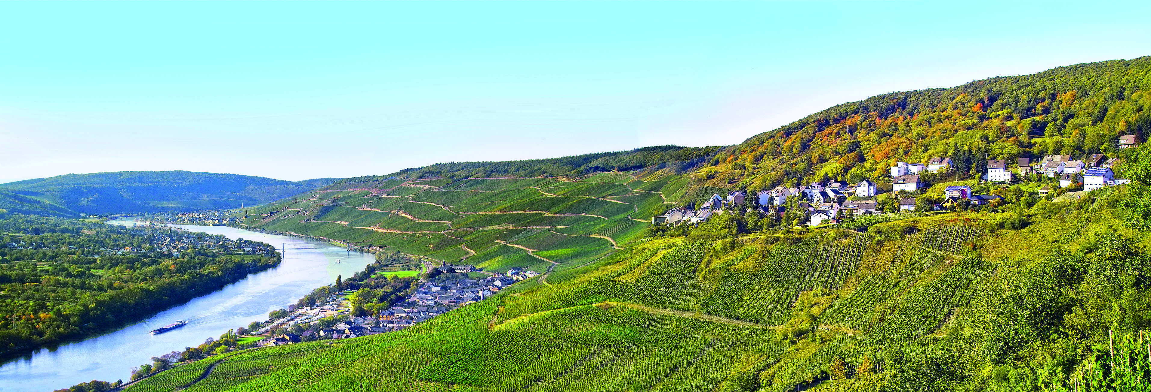 Moselpanorama mit Blick auf Graach und Schäferei Moselpanorama mit Blick auf Graach und Schäferei